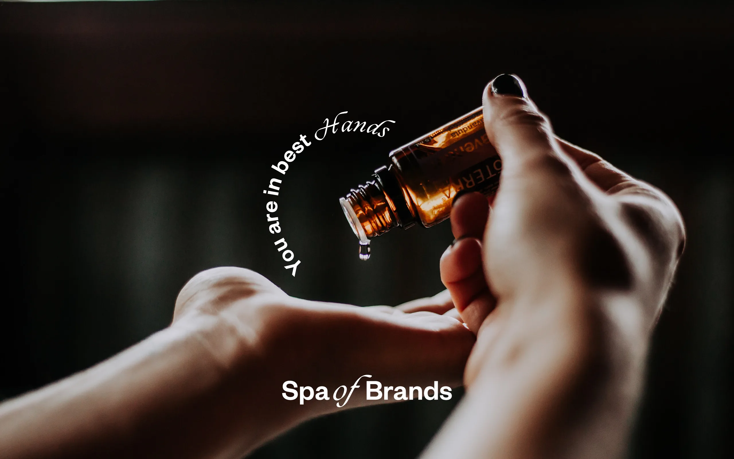 Spa of Brands – brand identity by Basman/Tenenbaum