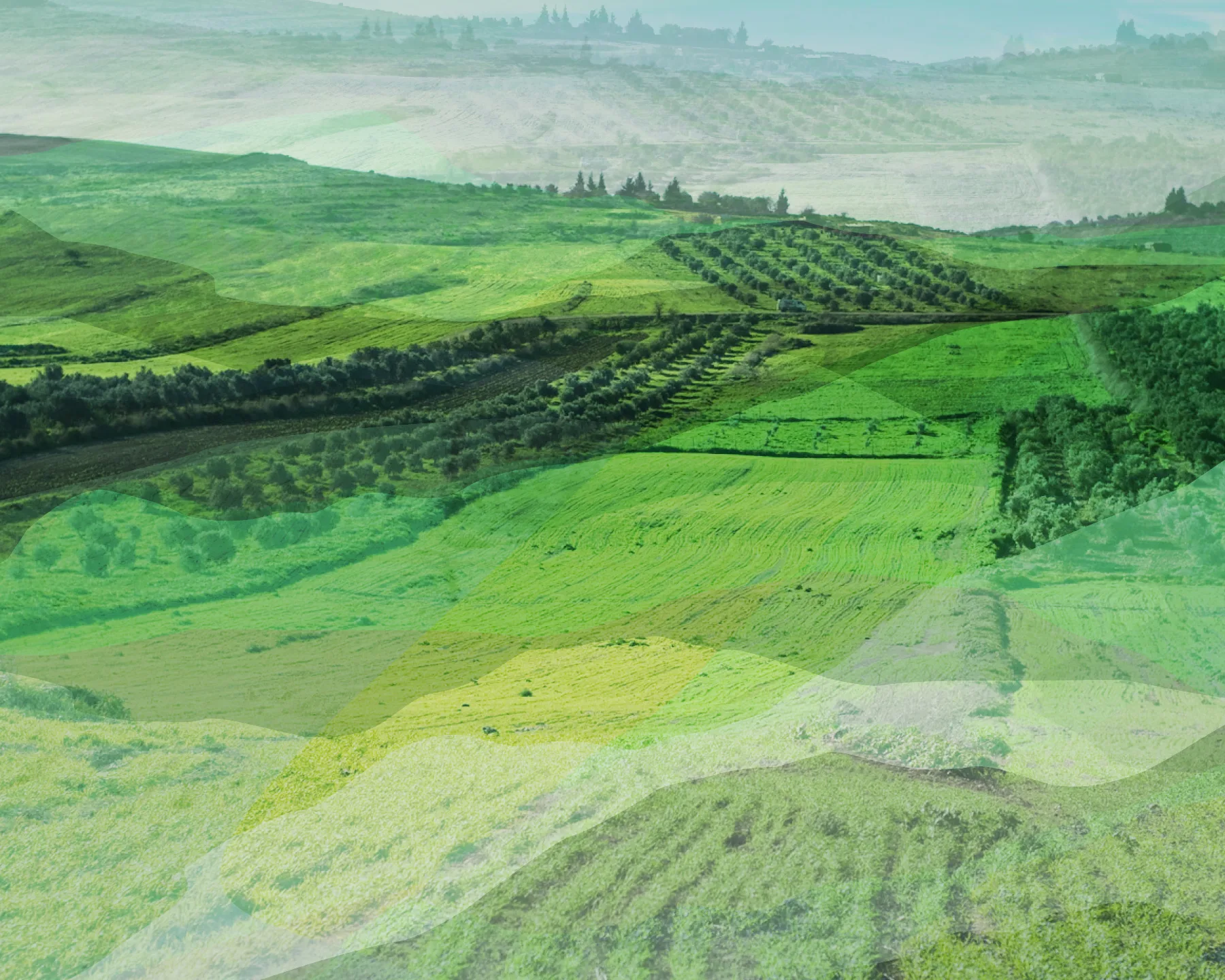 Layers of the Land – print design by Basman/Tenenbaum